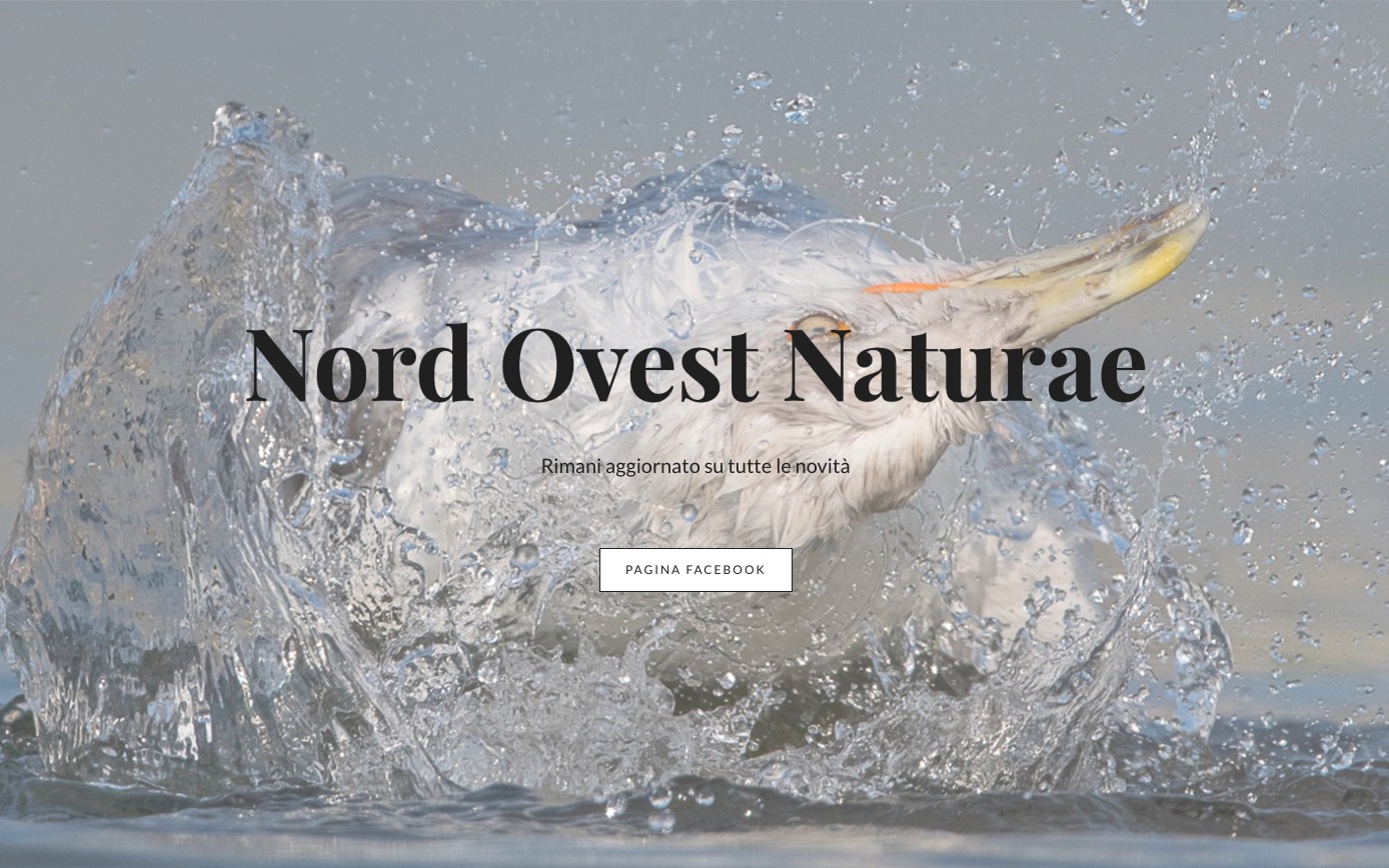 Nord Ovest Naturae | Photocontest