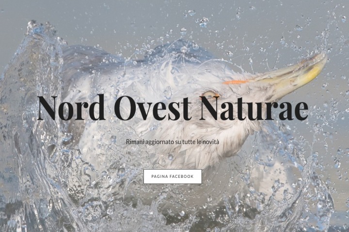 Nord Ovest Naturae | Photocontest
